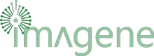 ImageneBio, Inc.